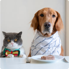 Shop Pet Supplies