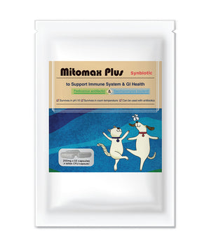 Mitomax Plus Synbiotic 60 Capsules (4 billion CFU/capsule)
