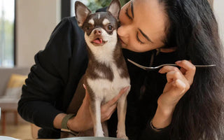 How to Potty Train a Puppy or Dog in an Apartment