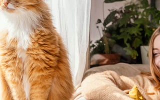 Everything You Need to Know About Cat Scratch Fever