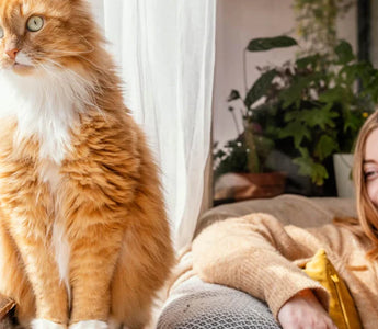 Everything You Need to Know About Cat Scratch Fever