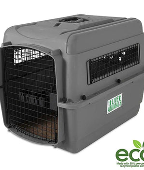 Petmate Sky Kennel Small for Pets | Approved for Air Travel