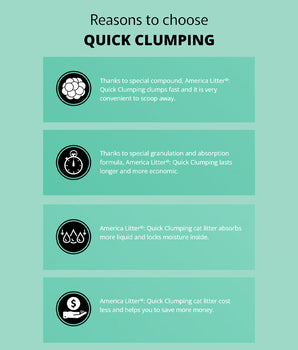 AmericaLitter Bentonite Cat Litter Unscented Quick Clumping 10L