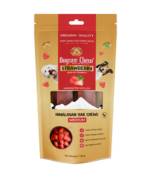 [ANY 2 FOR $25] Dogsee Chew Strawberry Himalayan Yak Cheese Chews Medium 140g
