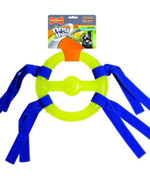 [ANY 3 AT 20%OFF] Nylabone Power Play Ring Thing Floatable Toy